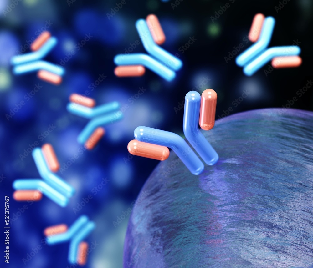 Antibody and Chromosomes, Antibodies, blood plasma globular proteins, 3D rendering Illustration