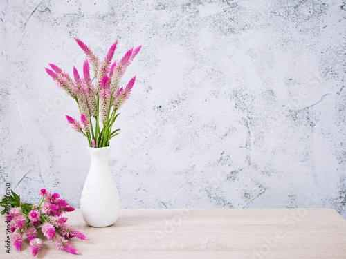 Pink flowers in vase on table with white cement wall texture background or wallpaper, copy space Celosia argentea L. Plumed Cockscomb ,Chinese Medicine Kurdu Amaranthaceae Troublesome Widespread Weed  photo