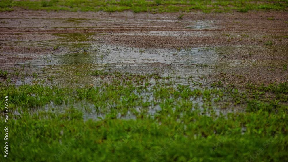 Close up shot of rain drops falling on the ground and grass on a rainy day. water splash and water puddles during rainfall. Close up shot of rain drops falling on the ground and grass on a rainy day. water splash and water puddles during rainfall.