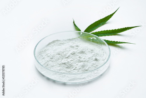 cannabidiol or CBD powder in glasses plate, Petri dish, and cannabis leaves on white background. weed concept                                            
