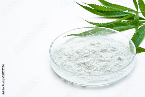 cannabidiol or CBD powder in glasses plate, Petri dish, and cannabis leaves on white background. weed concept                                            
