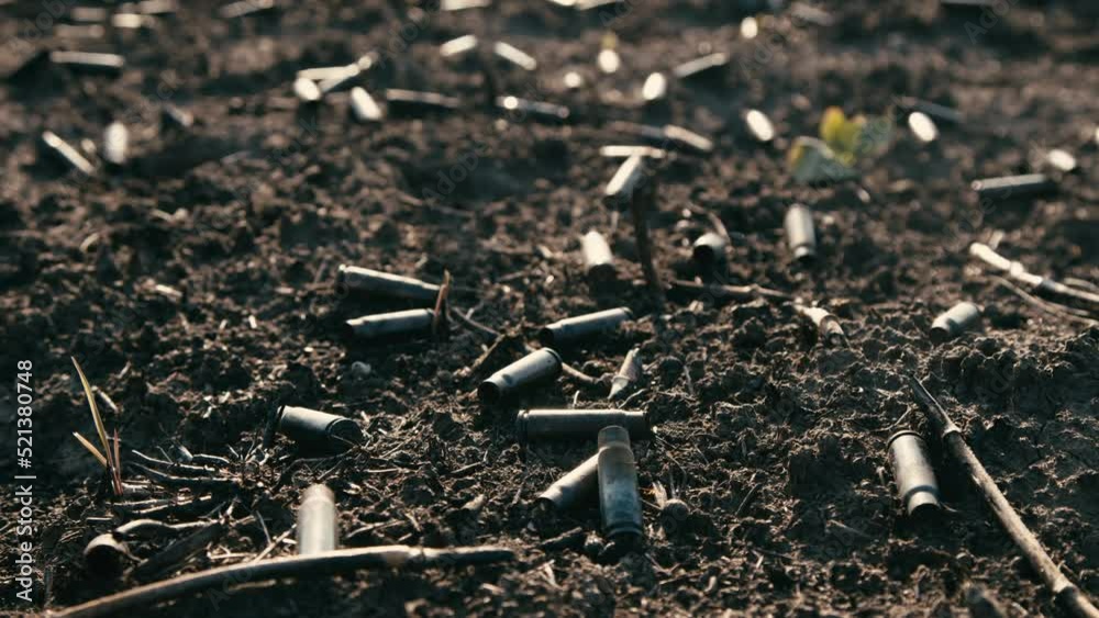 a scorched field after a battle with a shell from a machine gun. field with small sprouts of plants. War concept a scorched field after a battle with a shell from a machine gun. field with small sprouts of plants. War concept