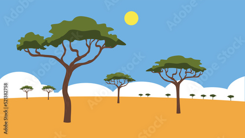 trees under the blazing desert sun