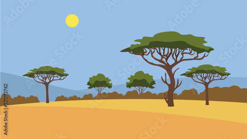 trees growing on the sand