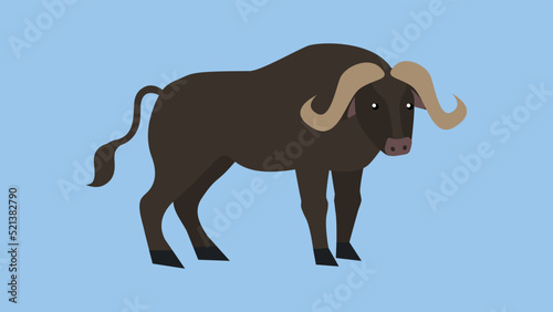 buffalo on a blue background