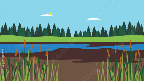 shallow lake in the background of the forest