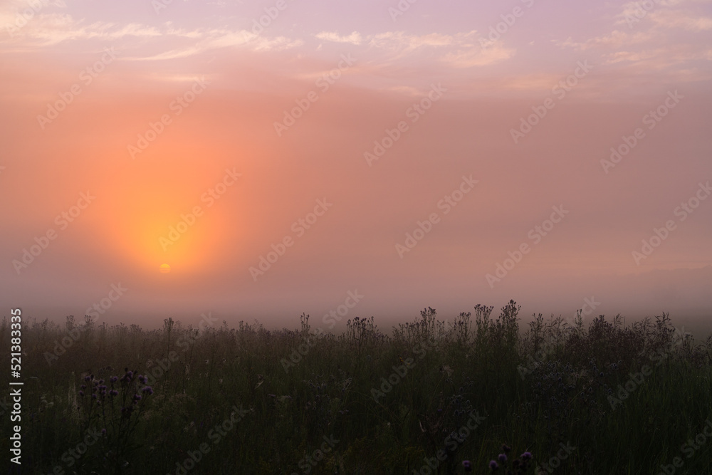 Fototapeta premium foggy dawn in summer in a field