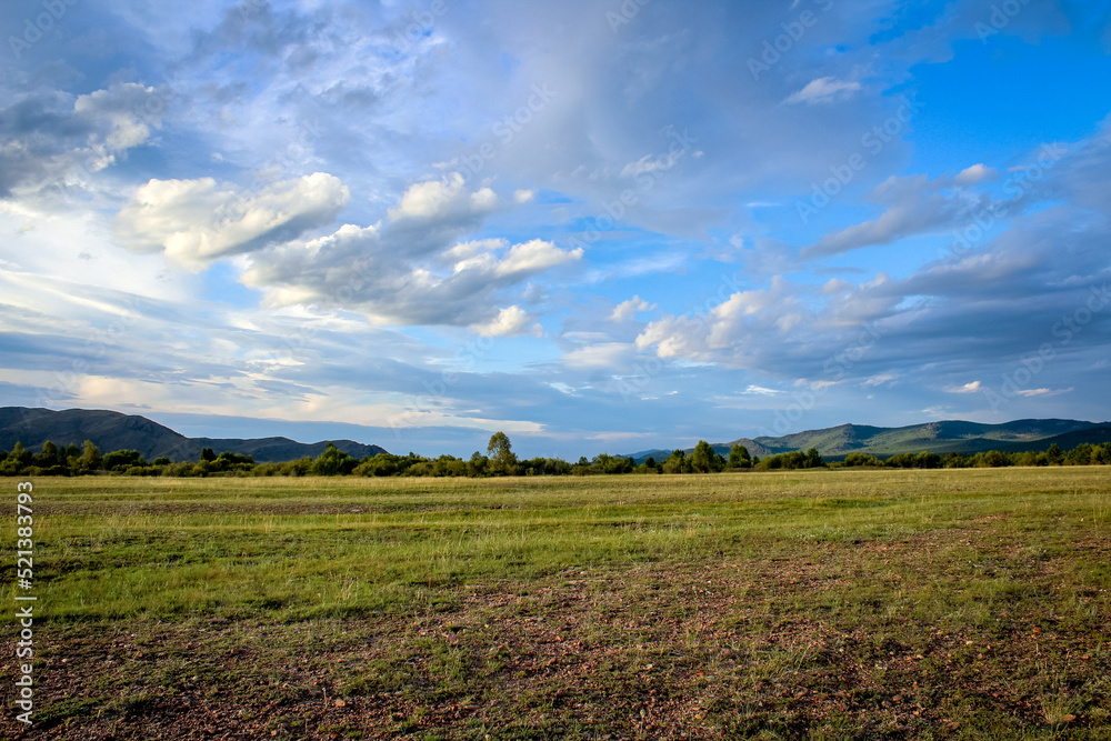 field and sky field and sky