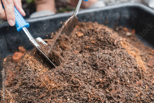 Hobby and farming concept, mixing soil and fertiliser in a black litter box. to prepare for planting trees.