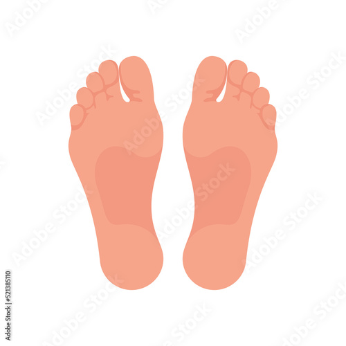 Soles of feet. The foot of the foot of a man or woman. Template for podiatry. The lower part of the human body. Bare foot. Vector illustration flat design. Isolated on white background.