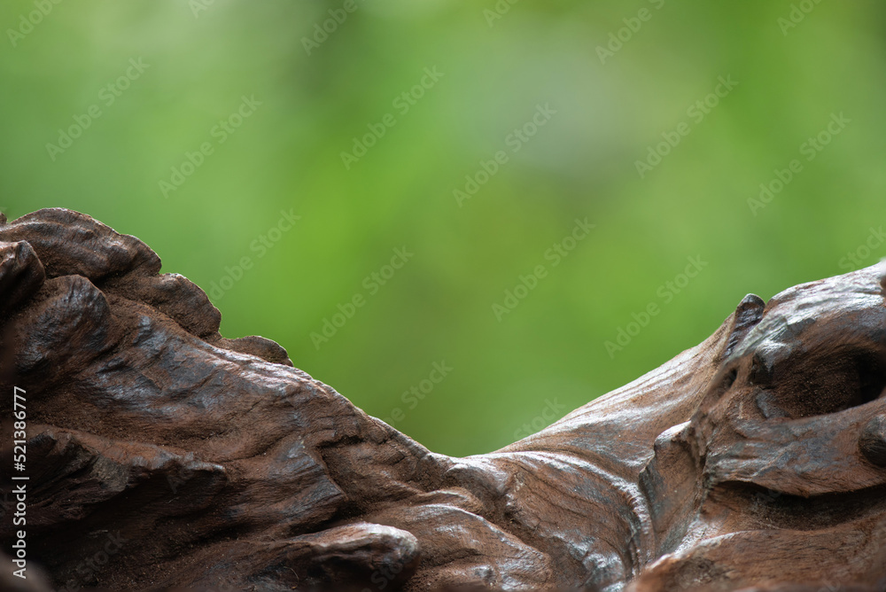 Old wood on green nature background.