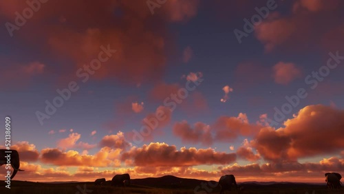 Herd of wild elephants walking at sunset in Dessie Zuria, Ethiopia. Africa