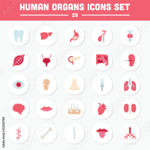 Flat Style Human Organs Circular Icon Set.