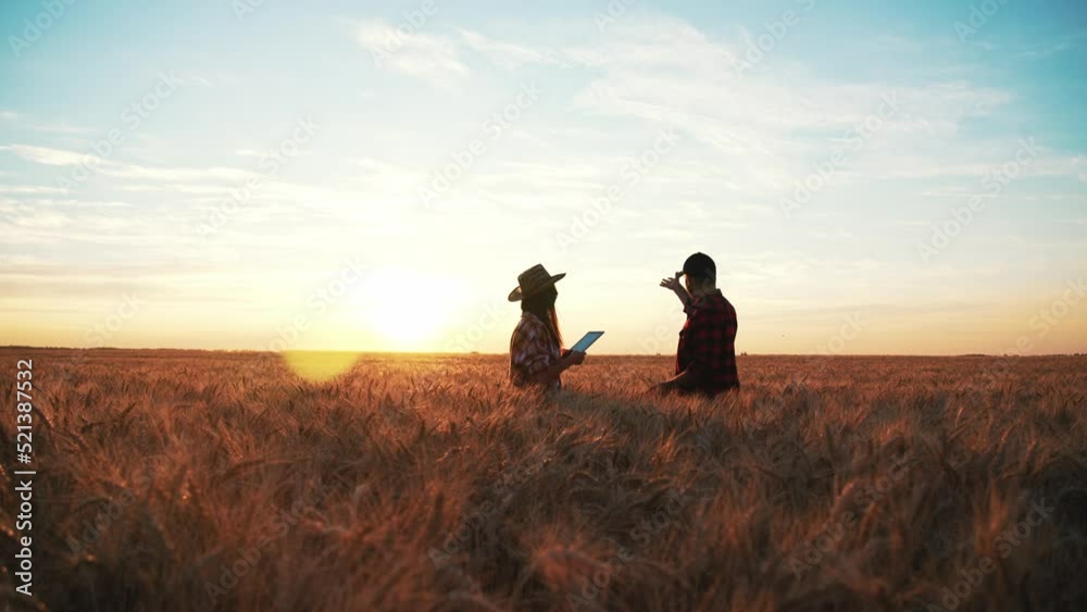 Woman in straw hat and man in cap shake hands on wheat field. Gesture of friendliness. Thanks for teamwork of farmers in agribusiness. Agronomists in work. Digital tablet in hands. Sunset on nature. Woman in straw hat and man in cap shake hands on wheat field. Gesture of friendliness. Thanks for teamwork of farmers in agribusiness. Agronomists in work. Digital tablet in hands. Sunset on nature.