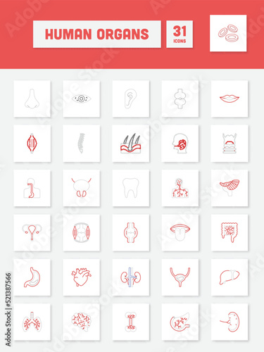 Grey And Red Linear Style Human Organ Square Icon Set.