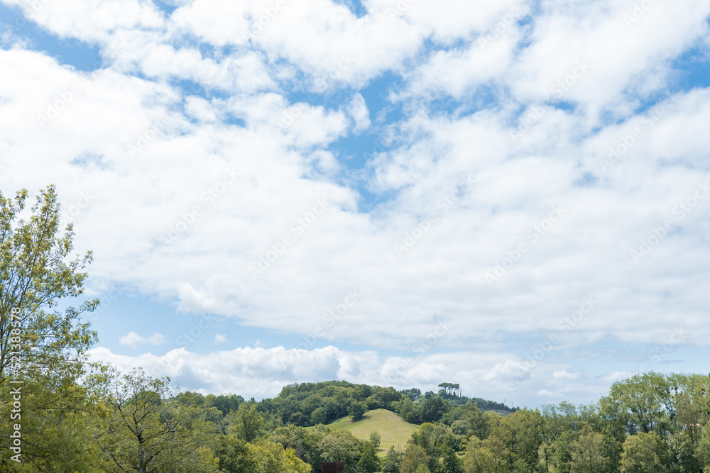 beautiful landscape of trees with blue sky and white clouds