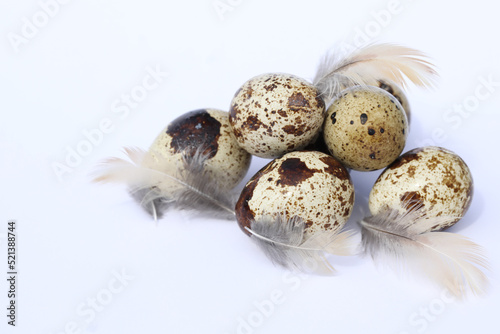 quail eggs on the white background with copy space