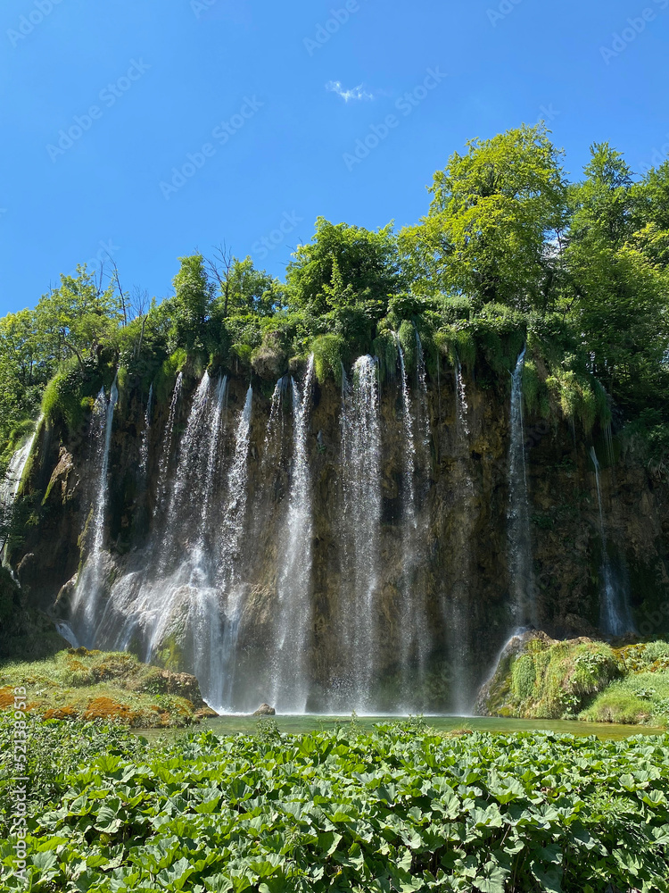 natural, rustic forest with a waterfall on a lake with lots of greenery in summer