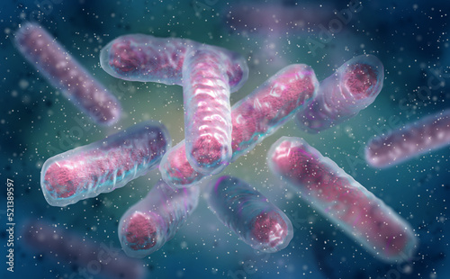Bild auf Leinwand Medical background, Enterobacterales bacterium including pathogens salmonella, E