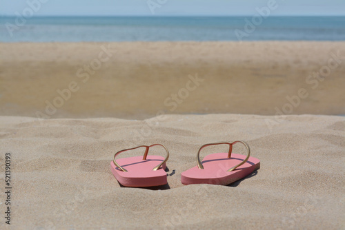 Stylish pink flip flops on sandy beach near sea, space for text