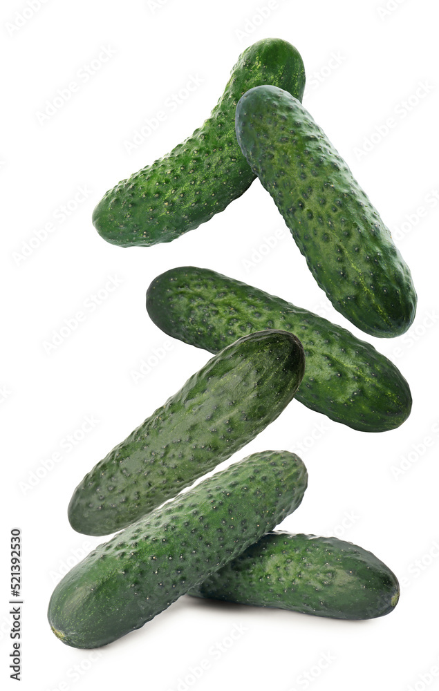 Fresh green cucumbers falling on white background Fresh green cucumbers falling on white background