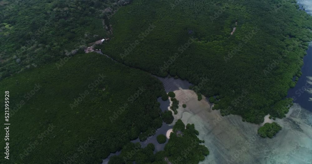 Aerial shot of mangroves surrounded by colorful shallow reef Aerial shot of mangroves surrounded by colorful shallow reef