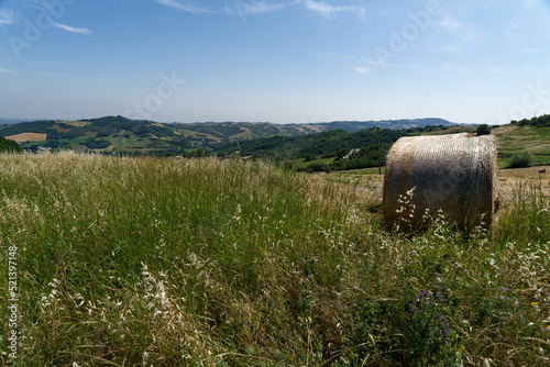 Italien - Emilia-Romagna - Piantonia - Umland photo