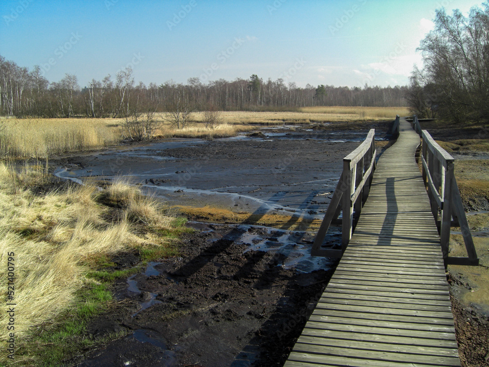 Naklejka premium durch das Moor