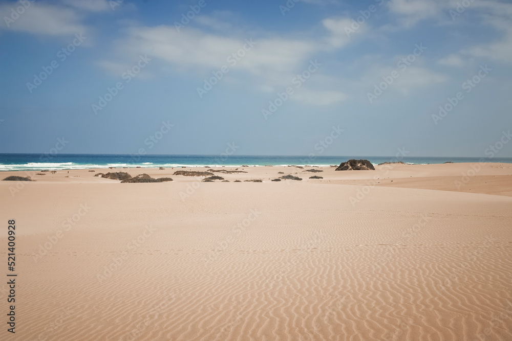 the endless beach of Corralejo in Fuerteventura. To reach the sea you have to come across dunes even 50 meters high - obrazy, fototapety, plakaty 