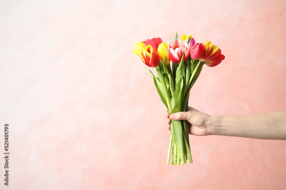 Woman holding beautiful spring tulips on light pink background, closeup. Space for text