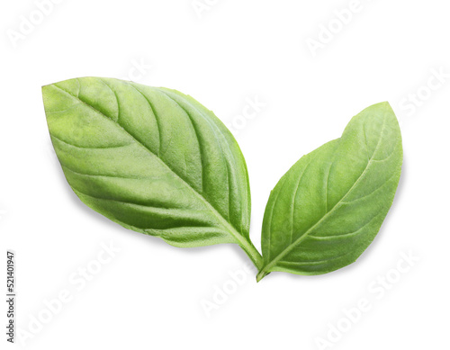 Aromatic green basil leaves isolated on white. Fresh herb