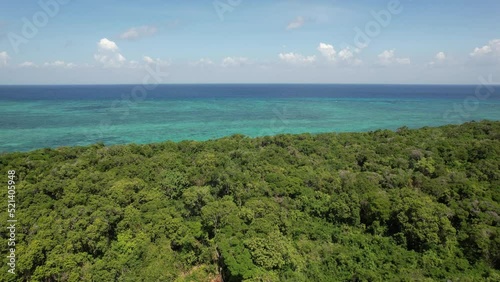 Wallpaper Mural Appearing the blue Indic Ocean through the vegetation Torontodigital.ca