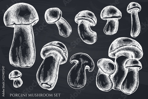 Vector set of hand drawn chalk porcini