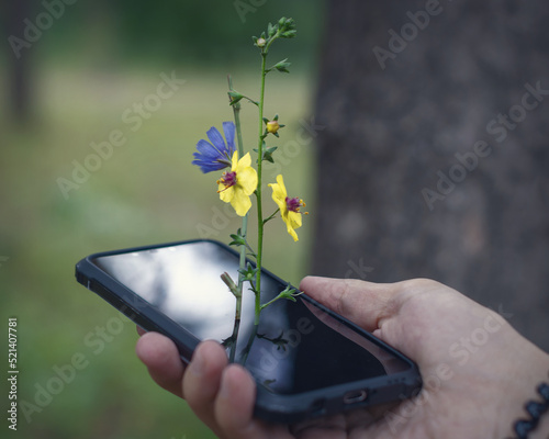Cuadro en lienzo A plant with flowers grows from the phone