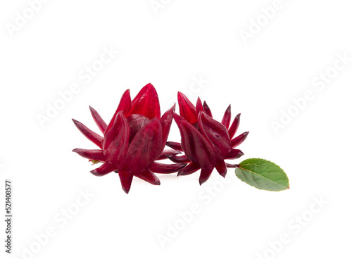 fresh roselle fruit on white background.