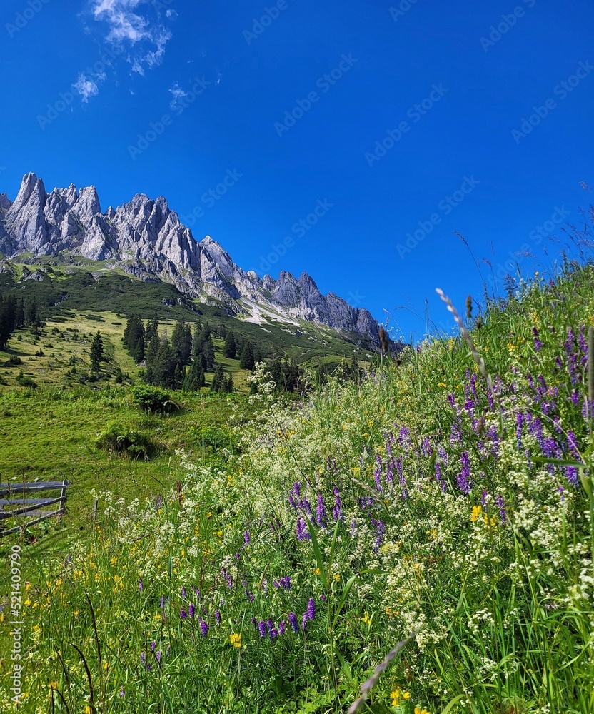 Am Hochkönig