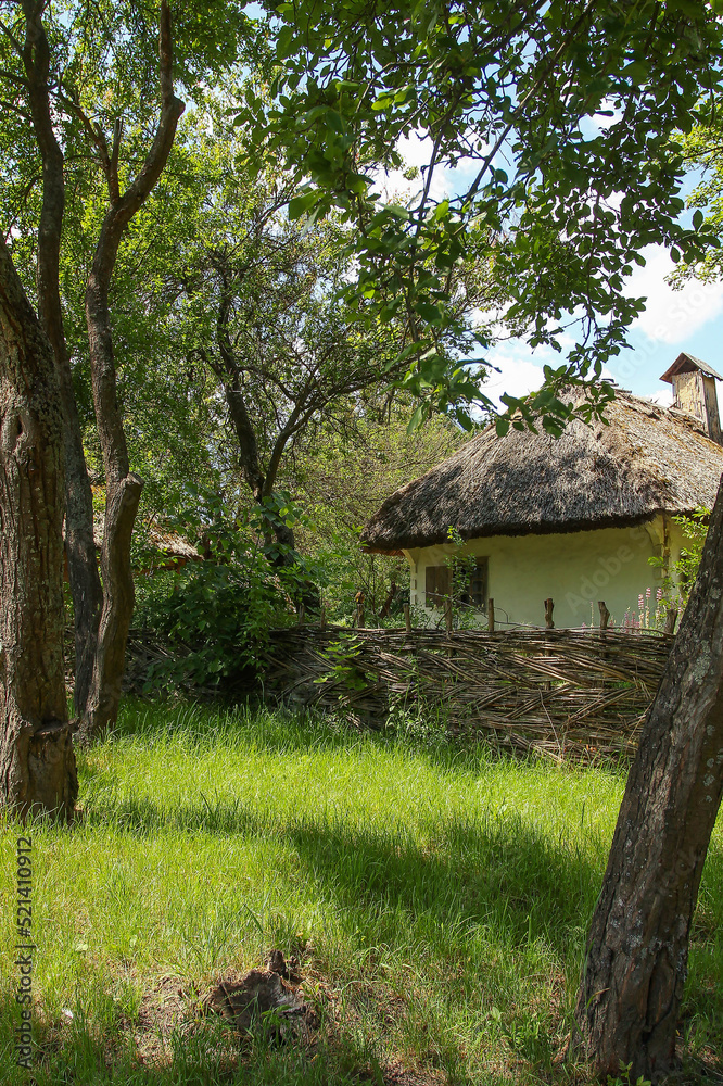 a house, a mud house, a wicker fence, a tree, a Ukrainian village a house, a mud house, a wicker fence, a tree, a Ukrainian village
