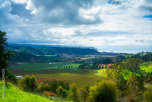 Shadows fall over golden vineyards in the valley, colourful trees on the slopes, and distant sea. Beautiful autumn day in Hawkes Bay, New Zealand © Irina B