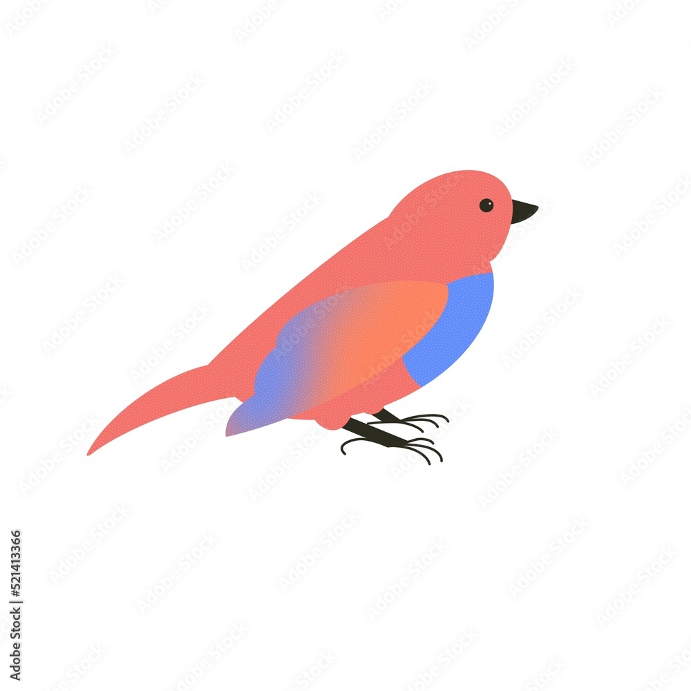 Fototapeta premium handdrawn bird isolated exotic colourfull