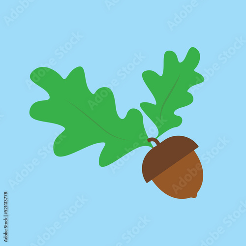 acorn on blue background