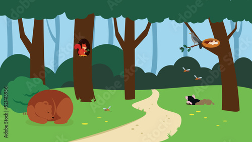 forest animals in the forest