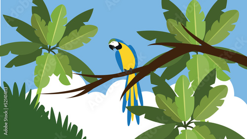 blue and yellow parrot sitting on a palm tree