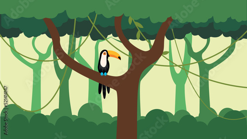 big parrot sitting on a tree photo