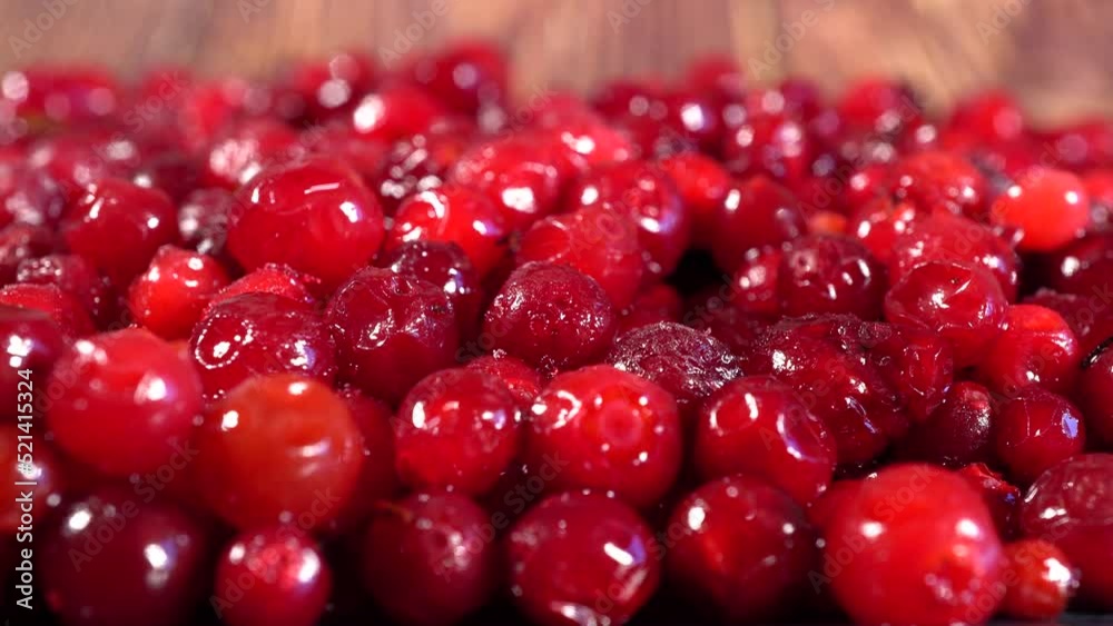 Slide shot of red cranberries, macro. Dolly slowly frozen lingonberries, berries in ice. Berries for cold summer compote or fruit drink. Slide shot of red cranberries, macro. Dolly slowly frozen lingonberries, berries in ice. Berries for cold summer compote or fruit drink.
