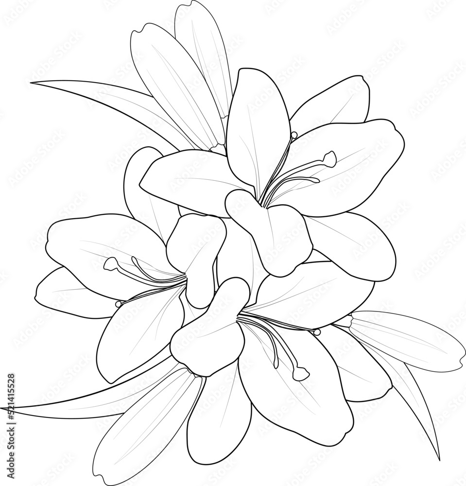 lily of the valley children's coloring page