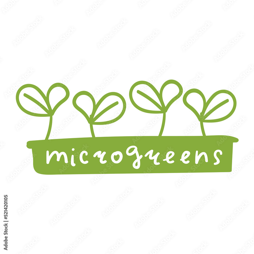 Microgreens. Vector icon on white background. Microgreens. Vector icon on white background.