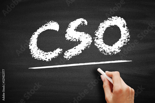 CSO Chief Strategy Officer - executive has primary responsibility for strategy formulation and management, including developing the corporate vision and strategy, acronym text on blackboard photo