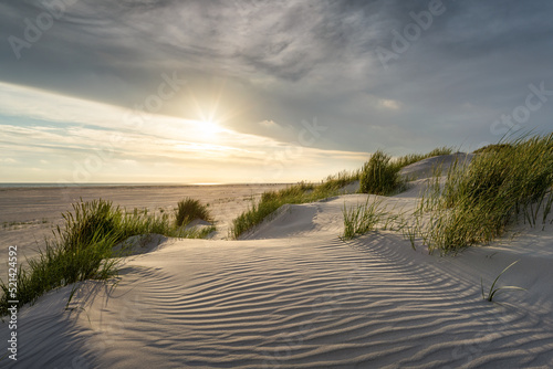 Sandy dune beach at sunset