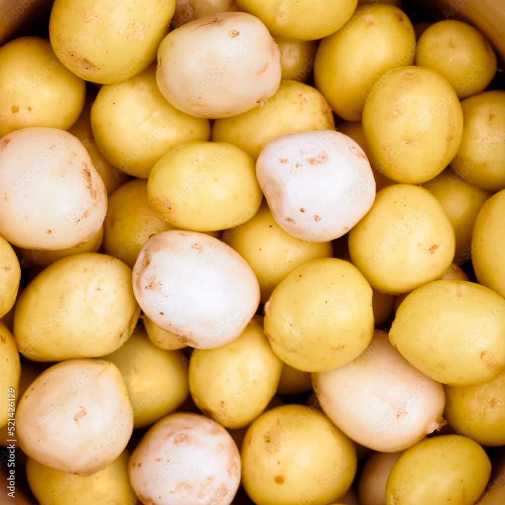 Background peeled fresh new potatoes close up. Top view. Background peeled fresh new potatoes close up. Top view.