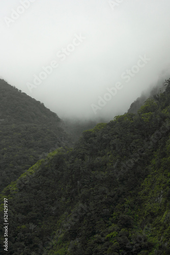 fog in the mountains © Raphae